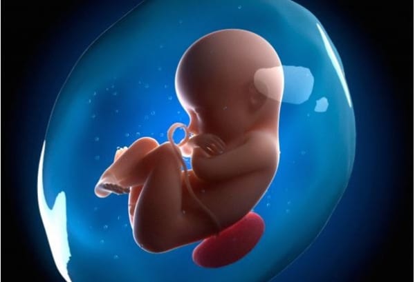Tìm hiểu các giai đoạn phát triển của bé trong bụng mẹ